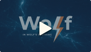 Bitcoin and Lightning Startup Accelerator Wolf Announces First Cohort - The BTC Times