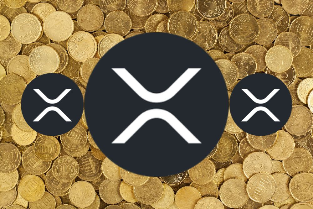 XRP Rich List Unveiling The Top 10 Largest XRP Holders